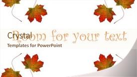  Presentation with gold leaves - PPT layouts enhanced with beautiful sugar maple leaves of gold red orange green and brown isolated on a white background with room for your text background and a cream colored foreground