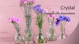  Presentation with summer flowers - Presentation theme with beautiful summer flowers in vases background and a lemonade colored foreground