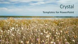  Presentation with summer - Cool new slides with beautiful summer landscape - wildflowers lake backdrop and a  colored foreground