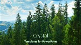  Presentation with destination - PPT theme with beautiful-summer-landscape-spruces background and a tawny brown colored foreground