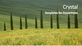  Presentation with summer trees - Cool new slide set with beautiful summer landscape with cypress backdrop and a  colored foreground
