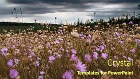  Presentation with summer flowers - Slides featuring beautiful-summer-landscape-with-pink background and a tawny brown colored foreground