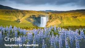  Presentation with summer flowers - Theme consisting of beautiful-summer-view-of-exotic background and a ocean colored foreground