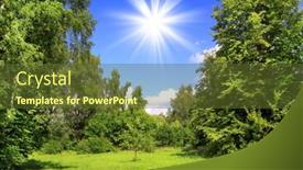  Presentation with wood - Presentation featuring beautiful-summer-wood-landscape background and a tawny brown colored foreground