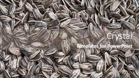  Presentation with sunflower sunflower sunflower sunflower sunflower - Presentation design consisting of beautiful-sunflower-seeds-image-healthy background and a gray colored foreground
