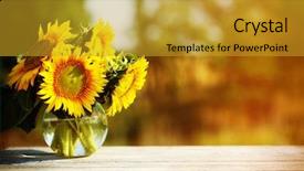  Presentation with sunflower - Presentation theme with beautiful sunflowers on table background and a gold colored foreground