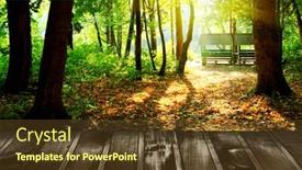  Presentation with wood planks - 