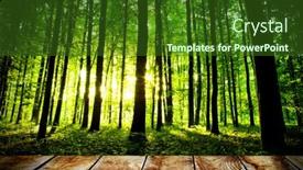  Presentation with autumn wood - 