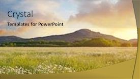  Presentation with beautiful nature - PPT theme having beautiful-sunny-camomile-meadow background and a light blue colored foreground