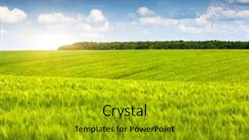  Presentation with sun flares on a blue - Slides having beautiful sunny day in the field with blue sky overcast sky ukraine europe beauty world background and a gold colored foreground