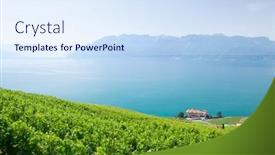  Presentation with vineyards - Presentation theme featuring beautiful-sunny-landscape-with-vineyards background and a sky blue colored foreground