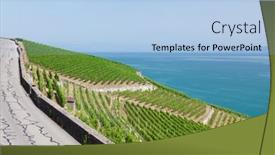  Presentation with vineyards - Presentation theme enhanced with beautiful-sunny-landscape-with-vineyards background and a light blue colored foreground