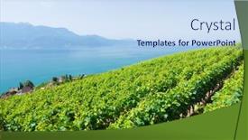  Presentation with vineyards - Slide set having beautiful-sunny-landscape-with-vineyards background and a sky blue colored foreground