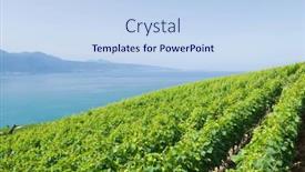  Presentation with vineyards - PPT layouts enhanced with beautiful-sunny-landscape-with-vineyards background and a sky blue colored foreground