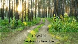  Presentation with forest road - Amazing PPT theme having beautiful-sunset-in-the-forest backdrop and a mint green colored foreground
