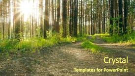  Presentation with woods - Beautiful slide set featuring beautiful sunset in the woods backdrop and a  colored foreground