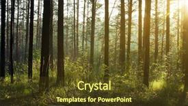  Presentation with woods - Colorful PPT theme enhanced with bites decorated for holiday dinner backdrop and a tawny brown colored foreground