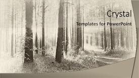  Presentation with woods - Audience pleasing presentation theme consisting of couple in love sitting backdrop and a soft green colored foreground