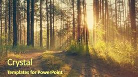  Presentation with woods - PPT theme featuring beautiful sunset in the woods background and a tawny brown colored foreground