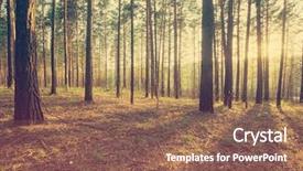  Presentation with woods - Audience pleasing presentation theme consisting of beautiful sunset in the woods backdrop and a  colored foreground
