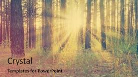  Presentation with woods - Presentation theme having beautiful sunset in the woods retro film filtered instagram style background and a coral colored foreground