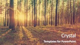  Presentation with woods - Audience pleasing theme consisting of beautiful sunset in the woods retro film filtered instagram style backdrop and a tawny brown colored foreground