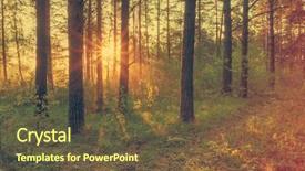  Presentation with woods - Cool new theme with beautiful sunset in the woods backdrop and a  colored foreground