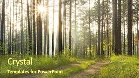  Presentation with woods - Audience pleasing PPT theme consisting of beautiful sunset in the woods backdrop and a tawny brown colored foreground