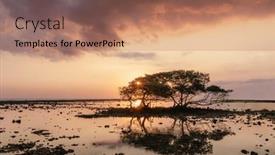  Presentation with single tree - Slide deck with beautiful-sunset-on-gili-trawangan background and a coral colored foreground