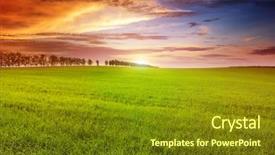  Presentation with field - Audience pleasing PPT theme consisting of beautiful sunset on spring field backdrop and a tawny brown colored foreground