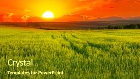  Presentation with wheat - Slide deck consisting of beautiful sunset on wheat field background and a tawny brown colored foreground