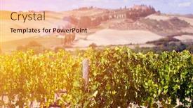  Presentation with vineyards - Theme with beautiful-sunset-over-tuscan-vineyards background and a lemonade colored foreground