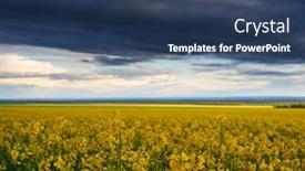  Presentation with rapeseed - Beautiful slide set featuring beautiful-sunset-over-yellow-flowers backdrop and a ocean colored foreground
