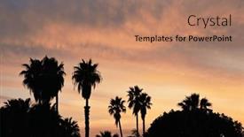  Presentation with trees - Presentation design with beautiful-sunset-with-silhouettes background and a  colored foreground