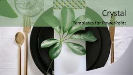  Presentation with table setting - PPT theme with beautiful table setting with green background and a seafoam green colored foreground