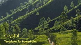  Presentation with rickshaw - Presentation consisting of beautiful-tea-plantations-landscape background and a tawny brown colored foreground