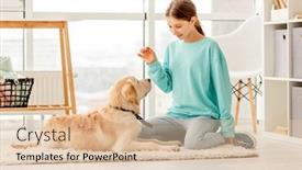  Presentation with dog training class - Slide deck enhanced with beautiful-teenage-girl-training-lovely background and a lemonade colored foreground