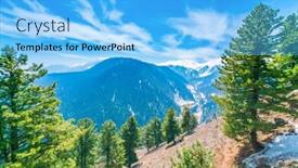  Presentation with snow tree - Audience pleasing PPT theme consisting of beautiful-tree-and-snow-covered backdrop and a light blue colored foreground