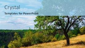  Presentation with sunny sky - Theme consisting of beautiful-tree-on-a-hill background and a light blue colored foreground
