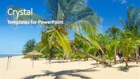  Presentation with coconut palm tree - PPT layouts featuring badges of japan and europe background and a coral colored foreground