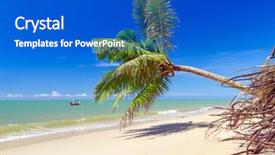  Presentation with coconut palm tree - Colorful PPT theme enhanced with beautiful tropical beach with coconut palm tree in thailand backdrop and a cobalt blue colored foreground