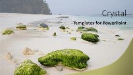  Presentation with beautiful green - PPT theme featuring beautiful-tropical-beach-with-green background and a light blue colored foreground