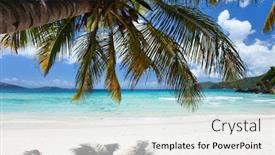  Presentation with virgin islands - Colorful PPT layouts enhanced with beautiful tropical beach with palm trees white sand turquoise ocean water and blue sky at tortola british virgin islands in caribbean backdrop and a sky blue colored foreground