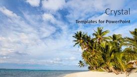  Presentation with pacific islands - Beautiful theme featuring beautiful tropical beach with palm trees white sand turquoise ocean water and blue sky at cook islands south pacific backdrop and a light blue colored foreground