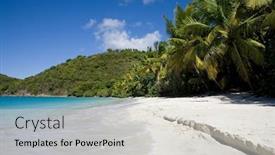  Presentation with palm beach - Presentation theme enhanced with beautiful-tropical-beach-with-palm background and a light gray colored foreground