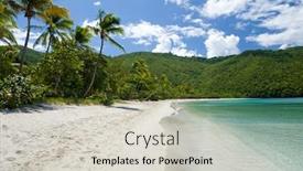  Presentation with palm beach - Amazing presentation theme having beautiful-tropical-beach-with-palm backdrop and a lemonade colored foreground