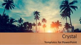 Presentation with palm beach - Presentation theme featuring beautiful tropical beach with palm background and a coral colored foreground