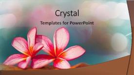  Presentation with hawaiian flowers - Beautiful presentation design featuring beautiful tropical flowers in hawaiian backdrop and a coral colored foreground