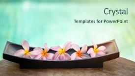  Presentation with beautiful floral border flower design - Presentation design having beautiful tropical frangipani flower background and a soft green colored foreground