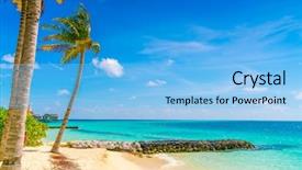  Presentation with maldives - Theme consisting of beautiful tropical maldives island white sandy beach and sea with palms tree background and a light blue colored foreground